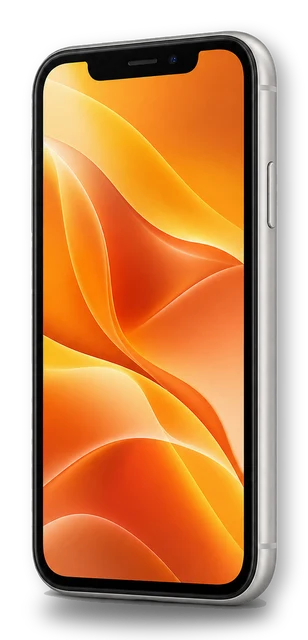 iPhone 11 screen repair in Palm Coast – cambio de pantalla